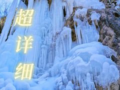 -卧龙自然保护区