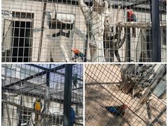 -石家庄市动物园