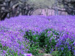 -江苏三台山国家森林公园