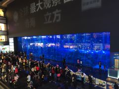 -成都浩海立方海洋公园