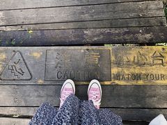 -Local泰莲庭(虹鳟鱼店)