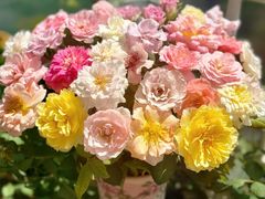 -循礼门鲜花花市(武汉循礼门店)