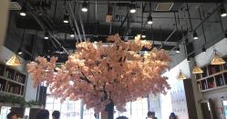 -简影造型·自选烫染接发salon