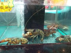 水产区-和乐喜宴海鲜酒家(骏荣广场店)