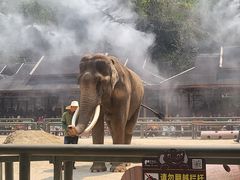 -野象谷景区