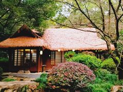 -中国茶叶博物馆(双峰馆区)