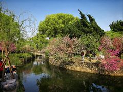 -无锡蠡湖国家湿地公园-蠡园