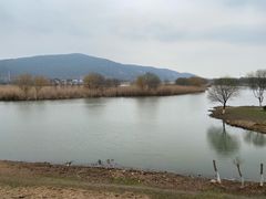 -长广溪湿地公园
