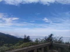 -武陵山森林公园