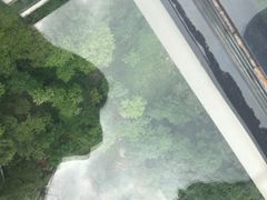 -塔云山