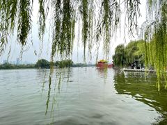 -济南大明湖景区
