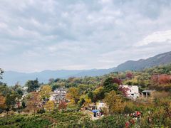 -塔川景区
