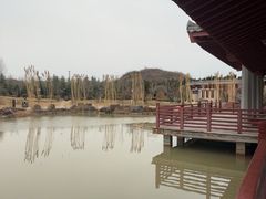 -洛阳古墓博物馆