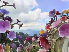 -三清山风景名胜区