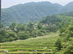 -石台牯牛降景区