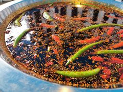 -马帮寨院坝火锅(龙港公园店)