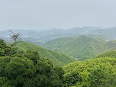 -莫干山风景区
