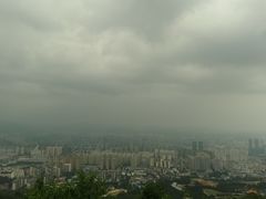 -长虫山生态公园风景林