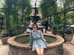 -The Grounds of Alexandria