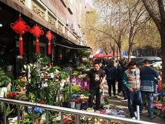 -宝鸡东道花鸟鱼虫市场(吉利花园商场店)