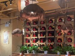 -泥糊破店小酒馆·团建聚餐(南京西路店)