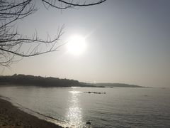 -八大关景区