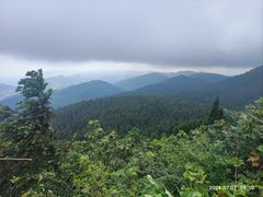 -武陵山森林公园