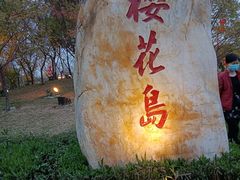 -映月湖公园