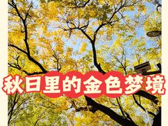 -簋街