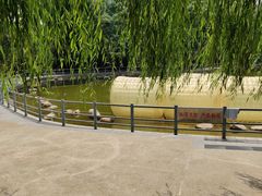 -莲湖公园