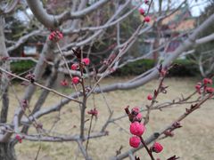 -莲花池公园