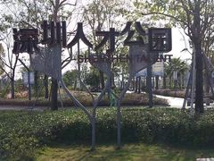 -深圳市人才园(深南大道店)