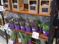 -盒马X会员店(王府井奥莱UP TOWN店)