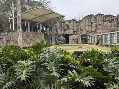 -成都动物园