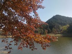 -千岛湖龙川湾