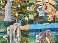 -范饭椰林川湘味海鲜·椰子鸡(三亚湾椰梦长廊店)