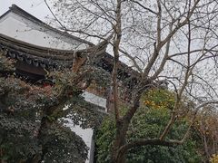 -苏城小院·园林精致苏州菜(斜塘老街店)