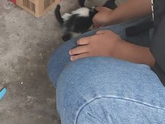 -长安大学(北校区)