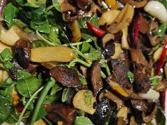 -滇铺子·云南特色菜·第九届野生菌美食节(东风东路c86店)