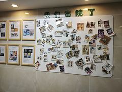 -半岛宠物医院24小时·内窥镜·牙科·碎石中心(府城大道店)