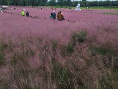 -汉长安城未央宫国家考古遗址公园