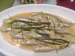 -射阳海鲜城(盐城店)