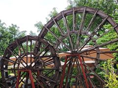 -品德宏·孔雀宴的发源地(金塔园店)