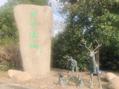 -溱湖国家湿地公园