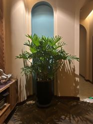 -娇玫荟SPA