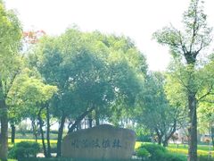 -顺峰山公园