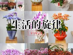 -F.Story 花和故事(新天地店)