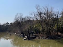 -上海吴淞炮台湾国家湿地公园