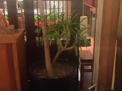 -瑶王府·广西菜(金阳路店)