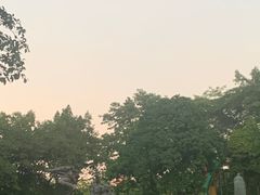 -广州雕塑公园